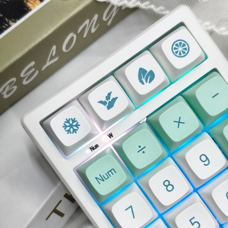 Boyi TD21 Hot Swap Numpad,21 Keys Mini Numpad Portable Keypad Bluetooth5.0/2.4G/Wired Number Pad Keyboard PBT Keycaps RGB Backlit Type-C Mini Keyboard (Mint XDA Keycaps) - Image 3